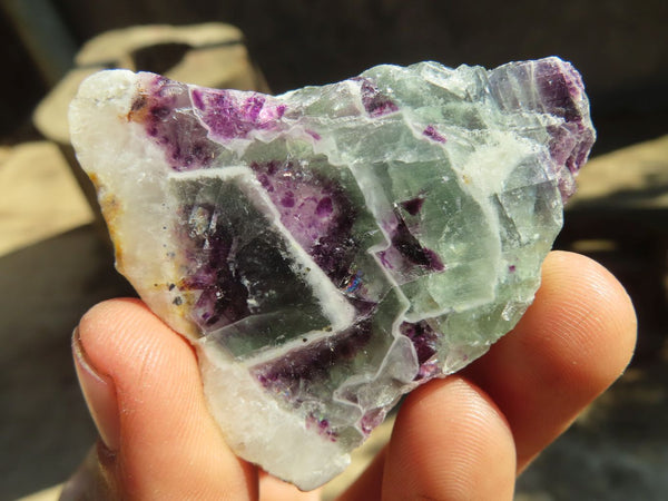 Polished Watermelon Fluorite Slices  x 12 From Uis, Namibia