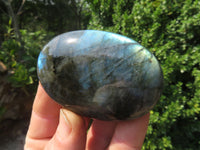 Polished Labradorite Gallets with Selected Flash (Palm Stones) - sold per kg - From Tulear, Madagascar - TopRock