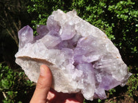 Natural Jacaranda Amethyst Specimens  x 2 From Mumbwa, Zambia - Toprock Gemstones and Minerals 