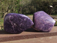 Polished Dark Purple Lithium Mica Lepidolite Free Forms  x 2 From Zimbabwe - TopRock