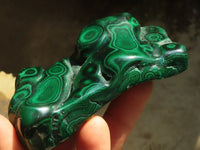 Polished Flower Banded Malachite Free Forms  x 6 From Congo - Toprock Gemstones and Minerals 