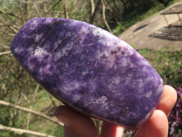 Polished Dark Purple Lithium Mica Lepidolite Free Forms  x 2 From Zimbabwe - TopRock