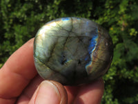 Polished Labradorite Gallets with Selected Flash (Palm Stones) - sold per kg - From Tulear, Madagascar - TopRock