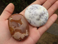 Polished Lovely Mixed Selection Of Palm Stones  x 12 From Madagascar - TopRock