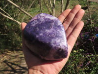 Polished Dark Purple Lithium Mica Lepidolite Free Forms  x 2 From Zimbabwe - TopRock