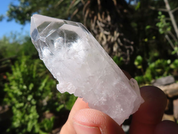 Natural Clear Single Quartz Crystals  x 35 From Zambia - Toprock Gemstones and Minerals 