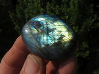 Polished Labradorite Gallets with Selected Flash (Palm Stones) - sold per kg - From Tulear, Madagascar - TopRock