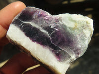 Polished Watermelon Fluorite Slices  x 12 From Uis, Namibia