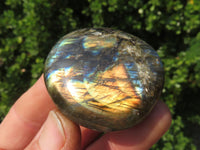 Polished Labradorite Gallets with Selected Flash (Palm Stones) - sold per kg - From Tulear, Madagascar - TopRock