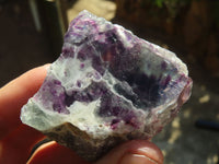 Polished Watermelon Fluorite Slices  x 12 From Uis, Namibia