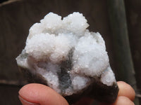 Natural Drusi Quartz Coated Calcite Pseudomorph Specimens  x 12 From Alberts Mountain, Lesotho - TopRock