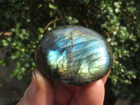 Polished Labradorite Gallets with Selected Flash (Palm Stones) - sold per kg - From Tulear, Madagascar - TopRock