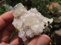 Natural Drusi Quartz Coated Calcite Pseudomorph Specimens  x 12 From Alberts Mountain, Lesotho - TopRock