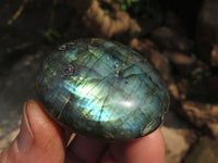 Polished Labradorite Gallets with Selected Flash (Palm Stones) - sold per kg - From Tulear, Madagascar - TopRock