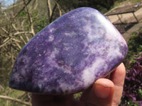 Polished Dark Purple Lithium Mica Lepidolite Free Forms  x 2 From Zimbabwe - TopRock