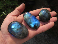 Polished Labradorite Gallets with Selected Flash (Palm Stones) - sold per kg - From Tulear, Madagascar - TopRock