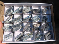 Natural Single Blue Kyanite Crystals  x 41 From Karoi, Zimbabwe