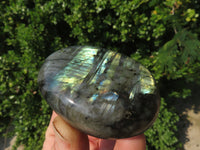 Polished Labradorite Gallets with Selected Flash (Palm Stones) - sold per kg - From Tulear, Madagascar - TopRock