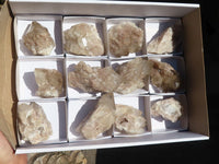 Natural Smokey Quartz Crystal Specimens x 12 From Luena, Congo