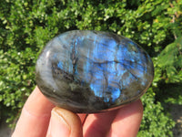 Polished Labradorite Gallets with Selected Flash (Palm Stones) - sold per kg - From Tulear, Madagascar - TopRock