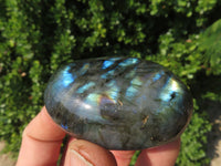 Polished Labradorite Gallets with Selected Flash (Palm Stones) - sold per kg - From Tulear, Madagascar - TopRock