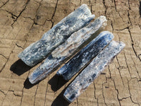 Natural Single Blue Kyanite Crystals  x 41 From Karoi, Zimbabwe