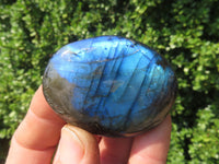 Polished Labradorite Gallets with Selected Flash (Palm Stones) - sold per kg - From Tulear, Madagascar - TopRock