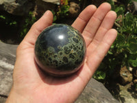 Polished Stromatolite / Kambamba Jasper Spheres  x 6 From Mahajanga, Madagascar - TopRock