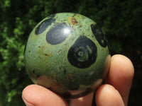 Polished Stromatolite / Kambamba Jasper Spheres  x 6 From Mahajanga, Madagascar - TopRock