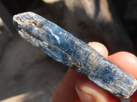 Natural Single Blue Kyanite Crystals  x 41 From Karoi, Zimbabwe