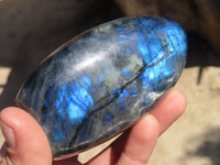 Polished Labradorite Standing Free Forms  x 2 From Tulear, Madagascar