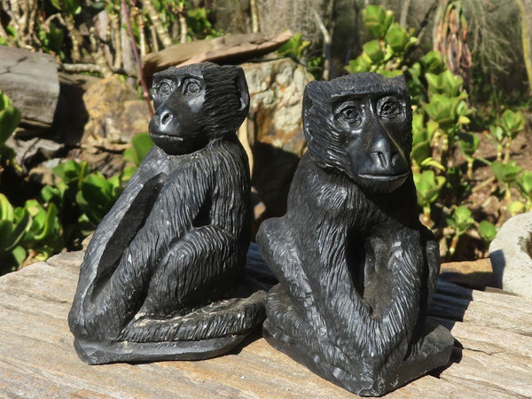 Polished Black Soapstone Baboon Carvings x 2 From Zimbabwe