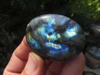 Polished Labradorite Gallets with Selected Flash (Palm Stones) - sold per kg - From Tulear, Madagascar - TopRock