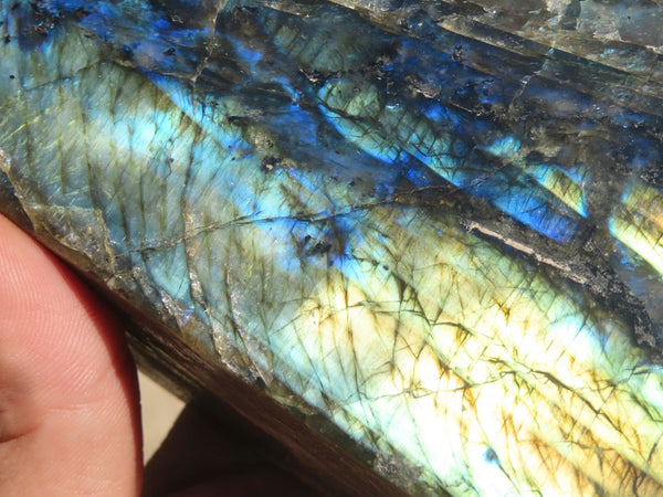 Polished Labradorite Standing Free Forms  x 2 From Tulear, Madagascar