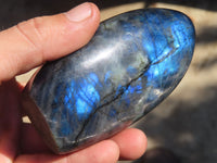 Polished Labradorite Standing Free Forms  x 2 From Tulear, Madagascar