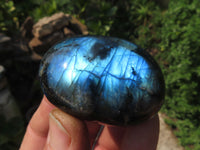 Polished Labradorite Gallets with Selected Flash (Palm Stones) - sold per kg - From Tulear, Madagascar - TopRock