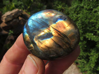 Polished Labradorite Gallets with Selected Flash (Palm Stones) - sold per kg - From Tulear, Madagascar - TopRock