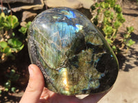 Polished Labradorite Standing Free Forms  x 2 From Tulear, Madagascar