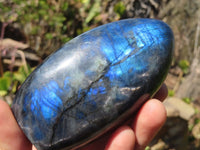 Polished Labradorite Standing Free Forms  x 2 From Tulear, Madagascar