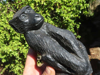 Polished Black Soapstone Baboon Carvings  x 2 From Zimbabwe