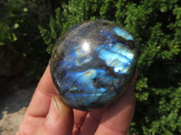 Polished Labradorite Gallets with Selected Flash (Palm Stones) - sold per kg - From Tulear, Madagascar - TopRock