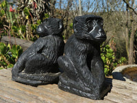 Polished Black Soapstone Baboon Carvings x 2 From Zimbabwe