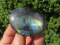 Polished Labradorite Gallets with Selected Flash (Palm Stones) - sold per kg - From Tulear, Madagascar - TopRock