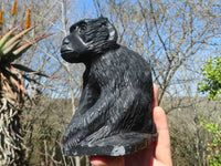 Polished Black Soapstone Baboon Carvings x 2 From Zimbabwe