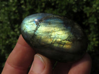 Polished Labradorite Gallets with Selected Flash (Palm Stones) - sold per kg - From Tulear, Madagascar - TopRock