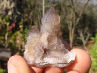 Natural Small White Spirit Quartz Specimens x 70 From Boekenhouthoek, South Africa