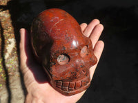 Polished Red Jasper Skull Carving  x 1 From Madagascar