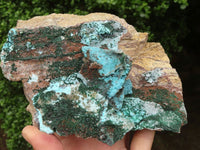 Natural Drusy Coated Chrysocolla & Malachite On Dolomite Specimen  x 1 From Likasi, Congo - TopRock