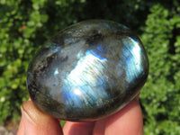 Polished Labradorite Gallets with Selected Flash (Palm Stones) - sold per kg - From Tulear, Madagascar - TopRock