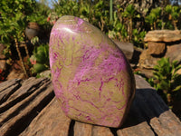 Polished Stichtite & Serpentine Standing Free Forms With Silky Purple Threads  x 2 From Barberton, South Africa - Toprock Gemstones and Minerals 